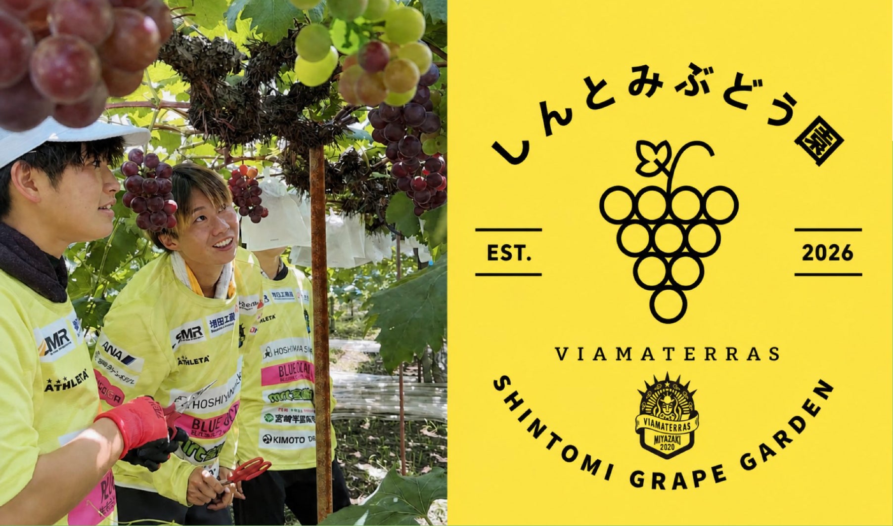 12.女子サッカークラブによるぶどう園の事業承継
