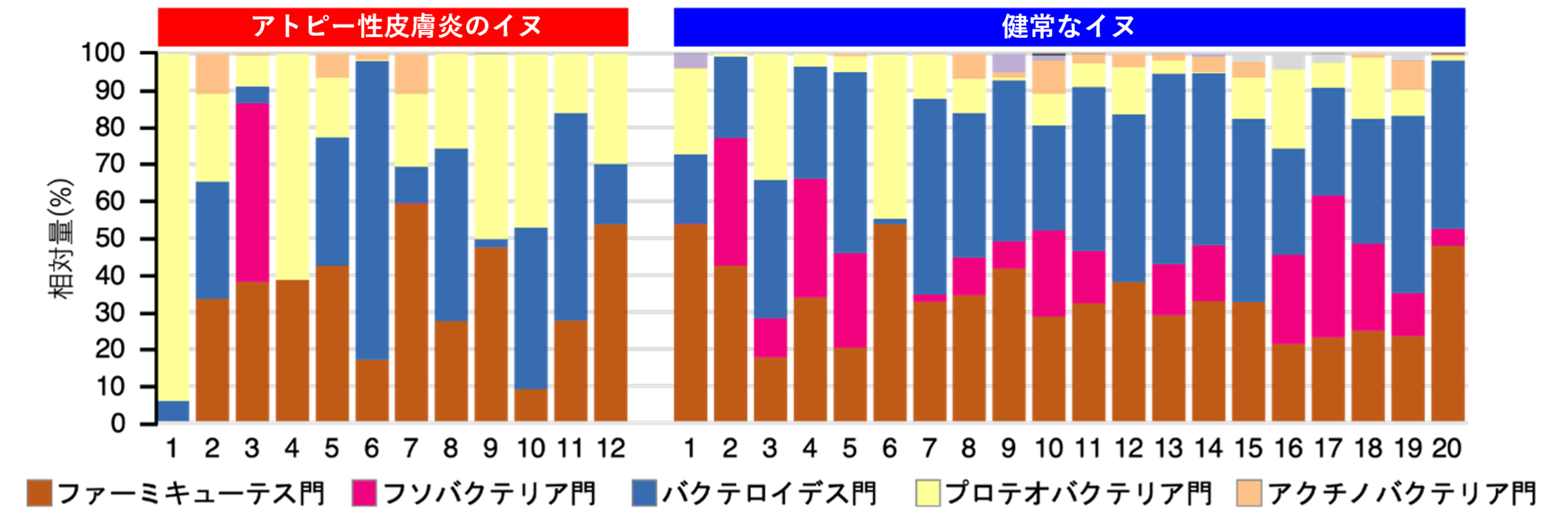 ▲アトピー性皮膚炎のイヌと健常なイヌの腸内細菌叢の比較（門レベル）