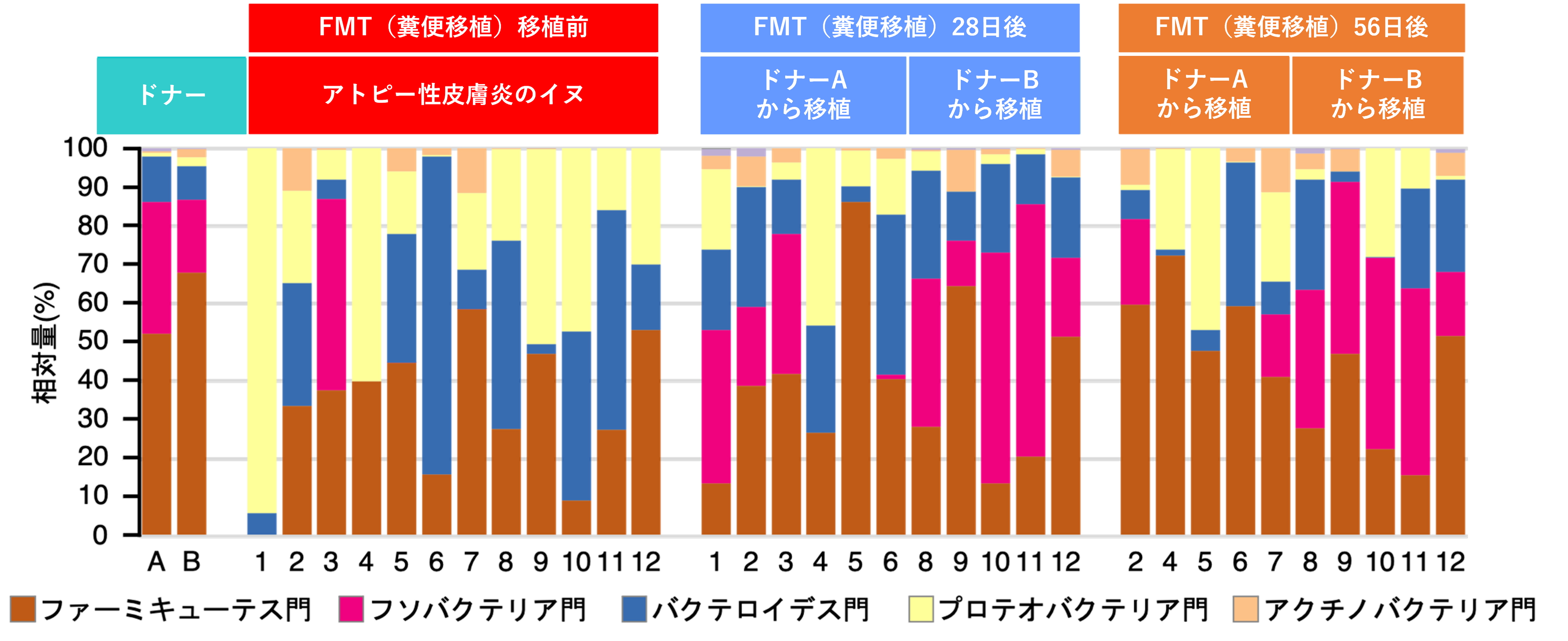 ▲アトピー性皮膚炎のイヌにおけるFMT前後の腸内細菌叢の変化（門レベル）
