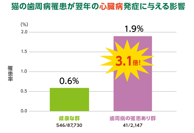 ▲N＝89,877（0～22歳の猫　全品種）