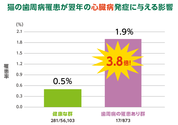 N＝56,976（0～4歳の猫、全品種）