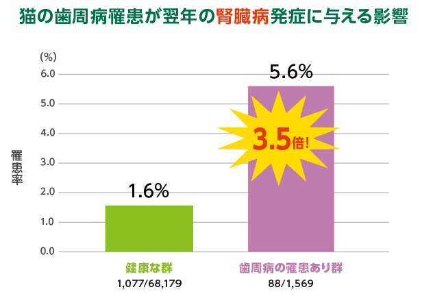 ▲N＝69,748（0～22歳の猫　全品種）