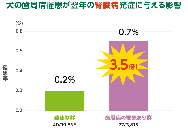 N＝23,680（5～10歳の犬、全品種）