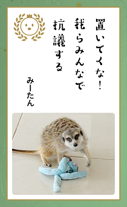 ▲「どうぶつ川柳」の作品例