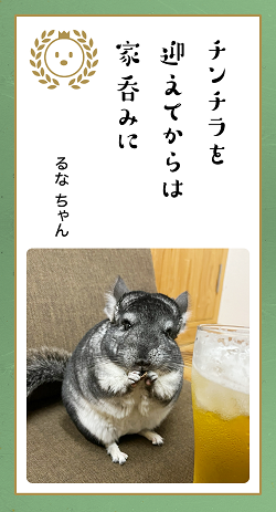 ▲第七回「どうぶつ川柳」の「優秀賞」に輝いた作品たち