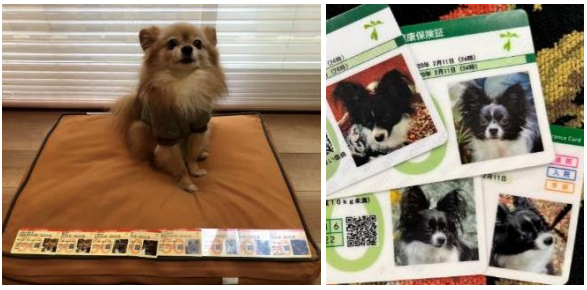 ▲０歳から毎年保険証のお写真を変更して、「わが子の成長記録」としてくださる方も