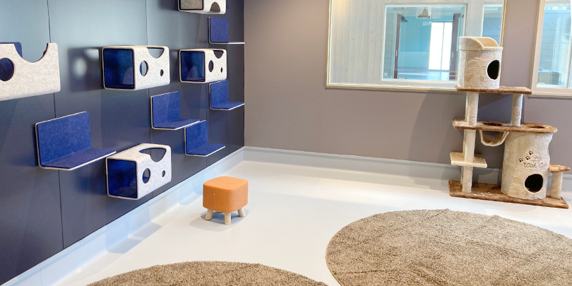 猫ふれあいスペース