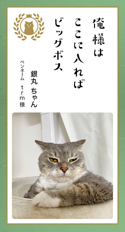 ▲こう見えてもかなりの小心者。このギャップがたまらなく可愛い。（trm様）