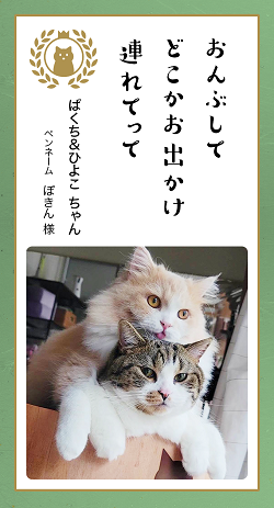 ▲よくふたりで並んで窓の外を見ていますが、この時はひよこがぱくちの上に乗って外を見ていました。お出かけしたいのかな～（ぽきん様）