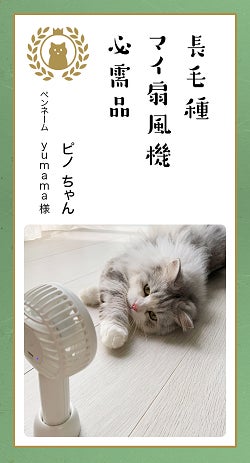 気まぐれ1500円offフランシュリッペ だっこジャンスカ fl5 気まぐれ1500円offフランシュリッペ だっこジャンスカ fl5