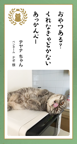 ▲電子レンジ使いたい時に限って上に登って甘えたポーズをしてきます。（ナギ様）