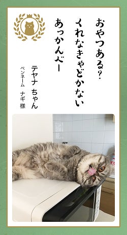 ▲電子レンジ使いたい時に限って上に登って甘えたポーズをしてきます。(ナギ様)