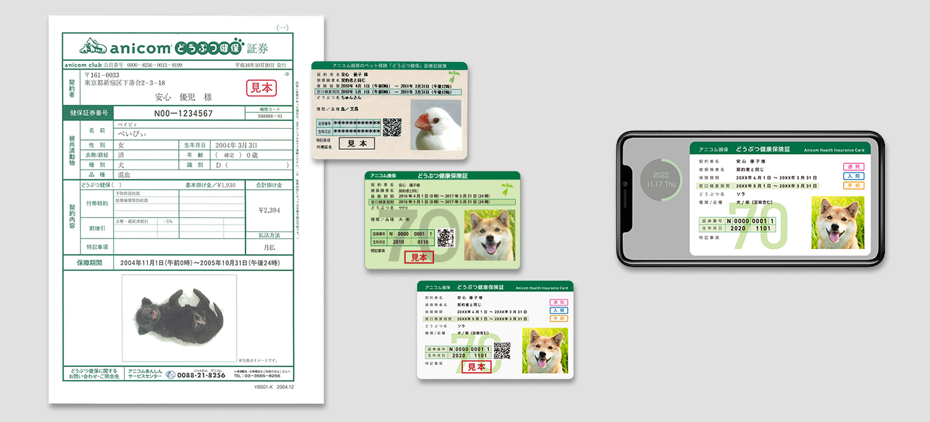 ▲アニコムの保険証の変遷。2000年の創業当初は紙タイプ、2008年の損保開業以降はカードタイプに。