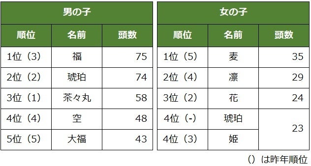猫の名前 カード検索 ｜ Z/X - Zillions of enemy X - ゼクス公式サイト