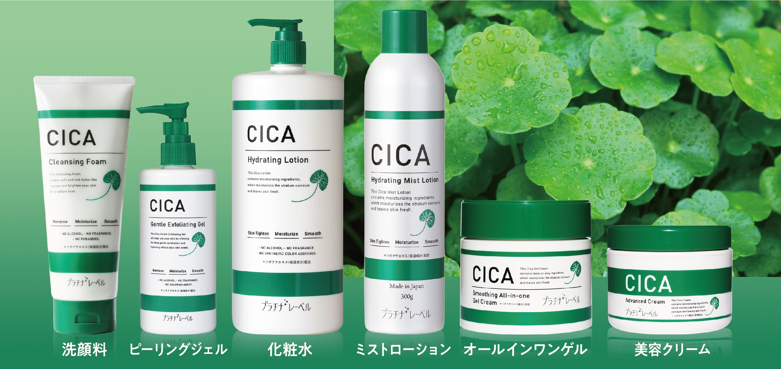 CICA（シカ）シリーズラインナップ