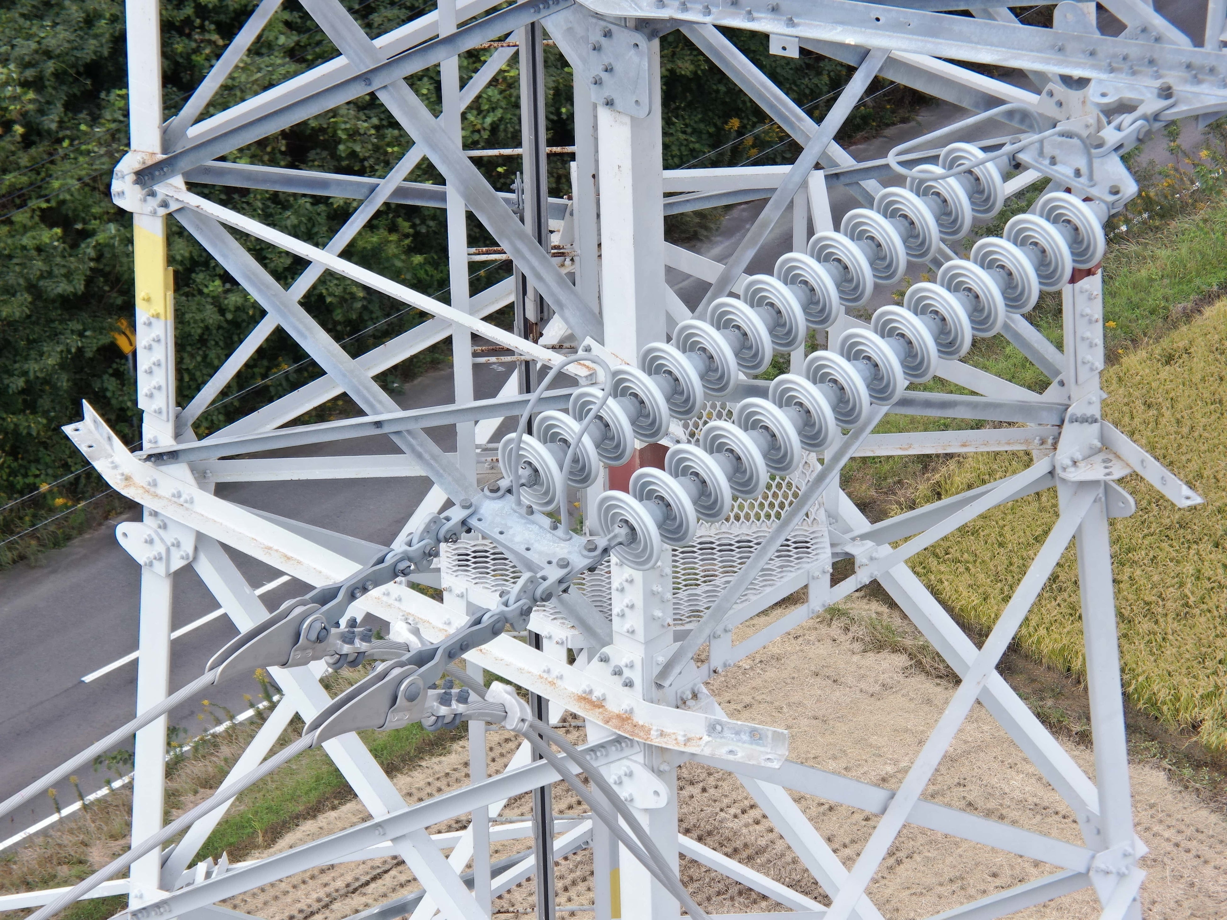 大型設備がいし