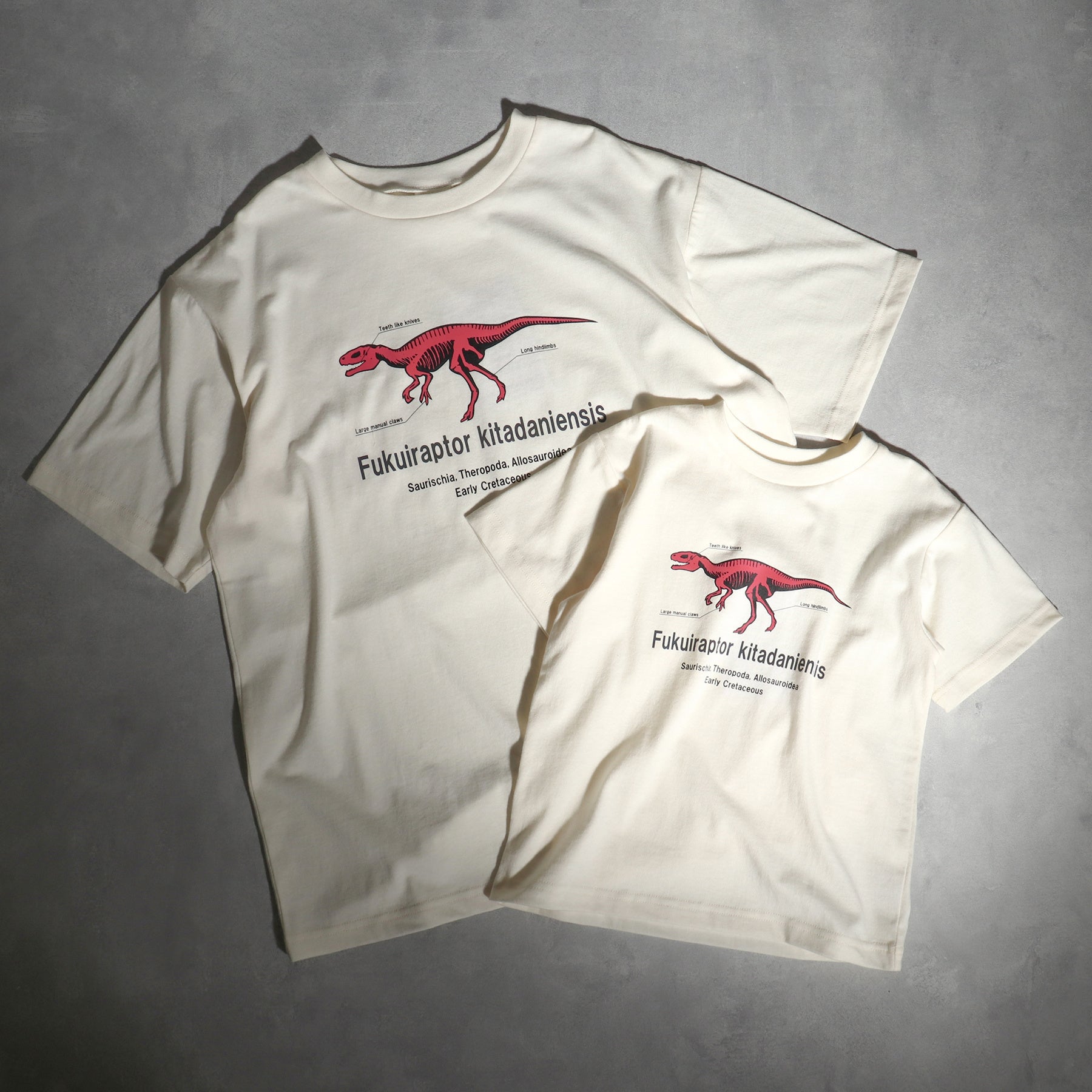 福井県立恐竜博物館 Breeze キッズに大人気の恐竜アイテムが コラボで新登場 株式会社f O インターナショナルのプレスリリース