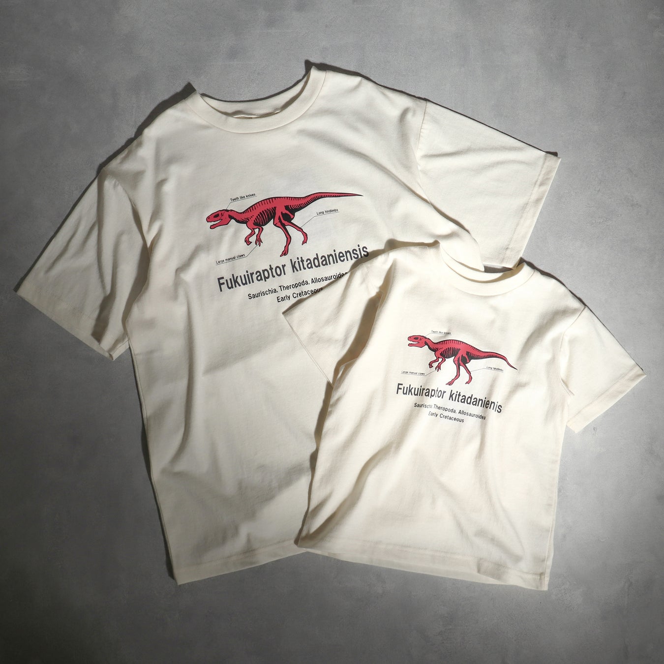 福井県立恐竜博物館 Breeze キッズに大人気の恐竜アイテムが コラボで新登場 株式会社f O インターナショナルのプレスリリース 福井県立恐竜博物館 Breeze キッズに大人気の恐竜アイテムが コラボで新登場 株式会社f O インターナショナルのプレスリリース