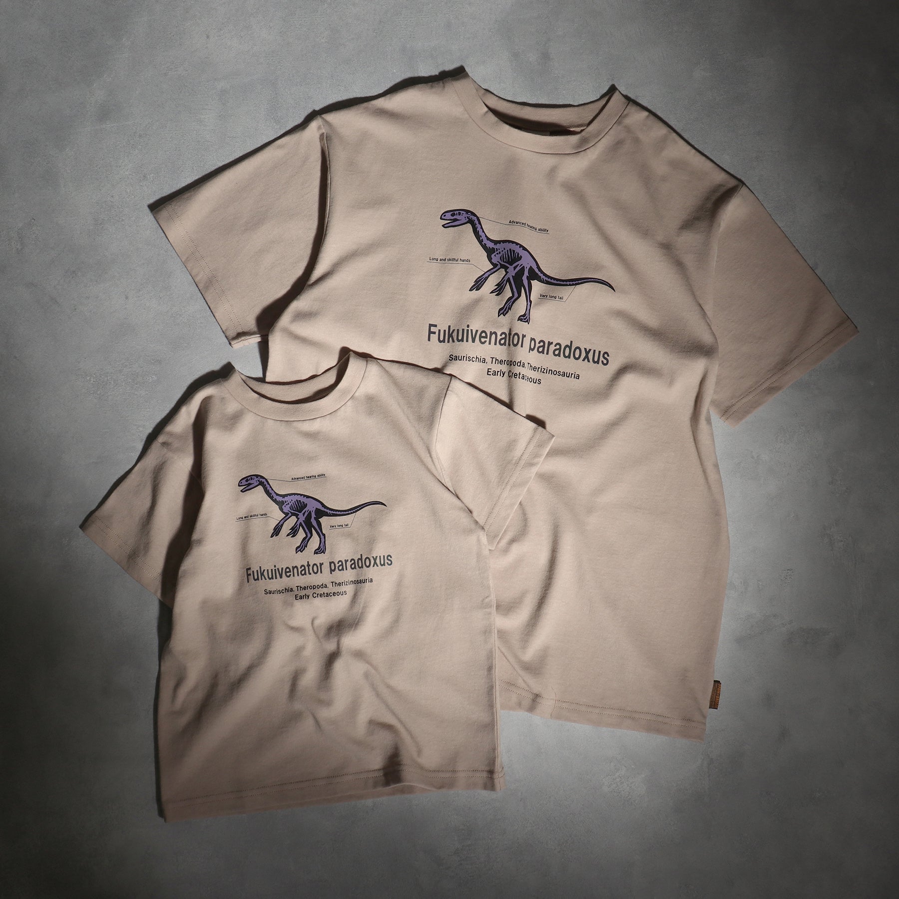 フクイベナートル