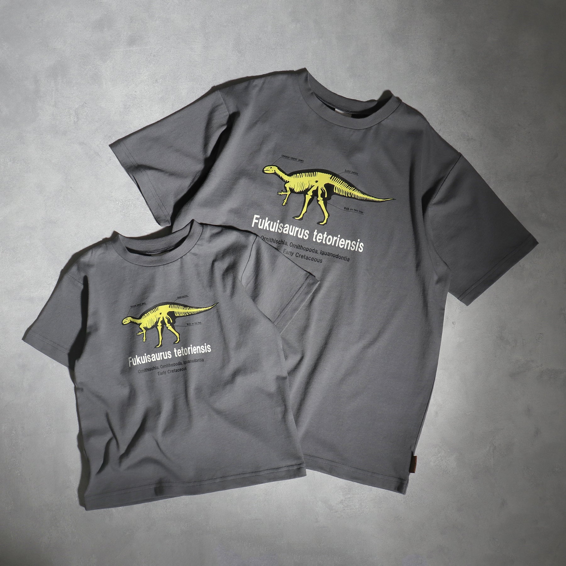 フクイサウルス