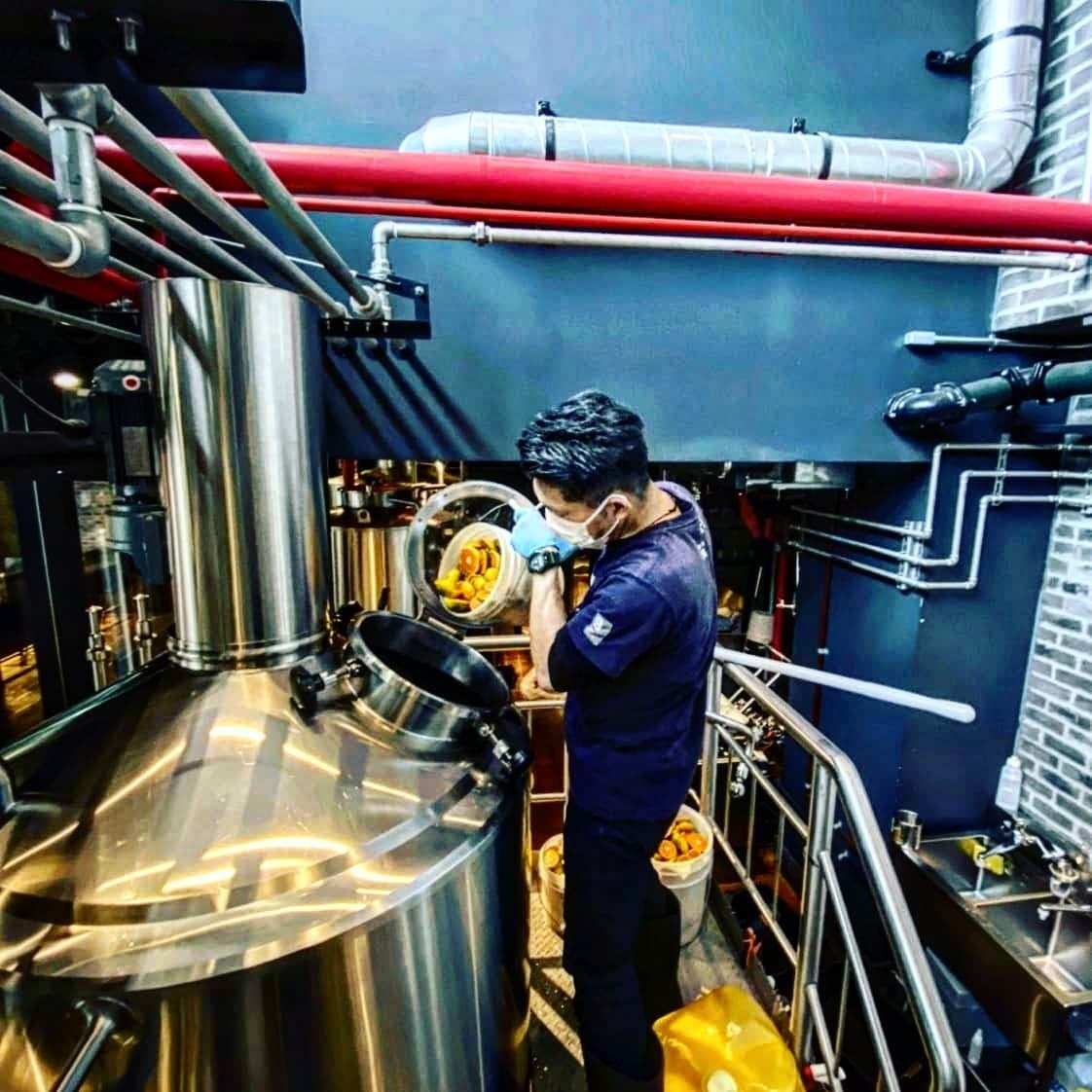 青みかんのアップサイクル！横浜みなとみらいのNUMBER NINE BREWERYで