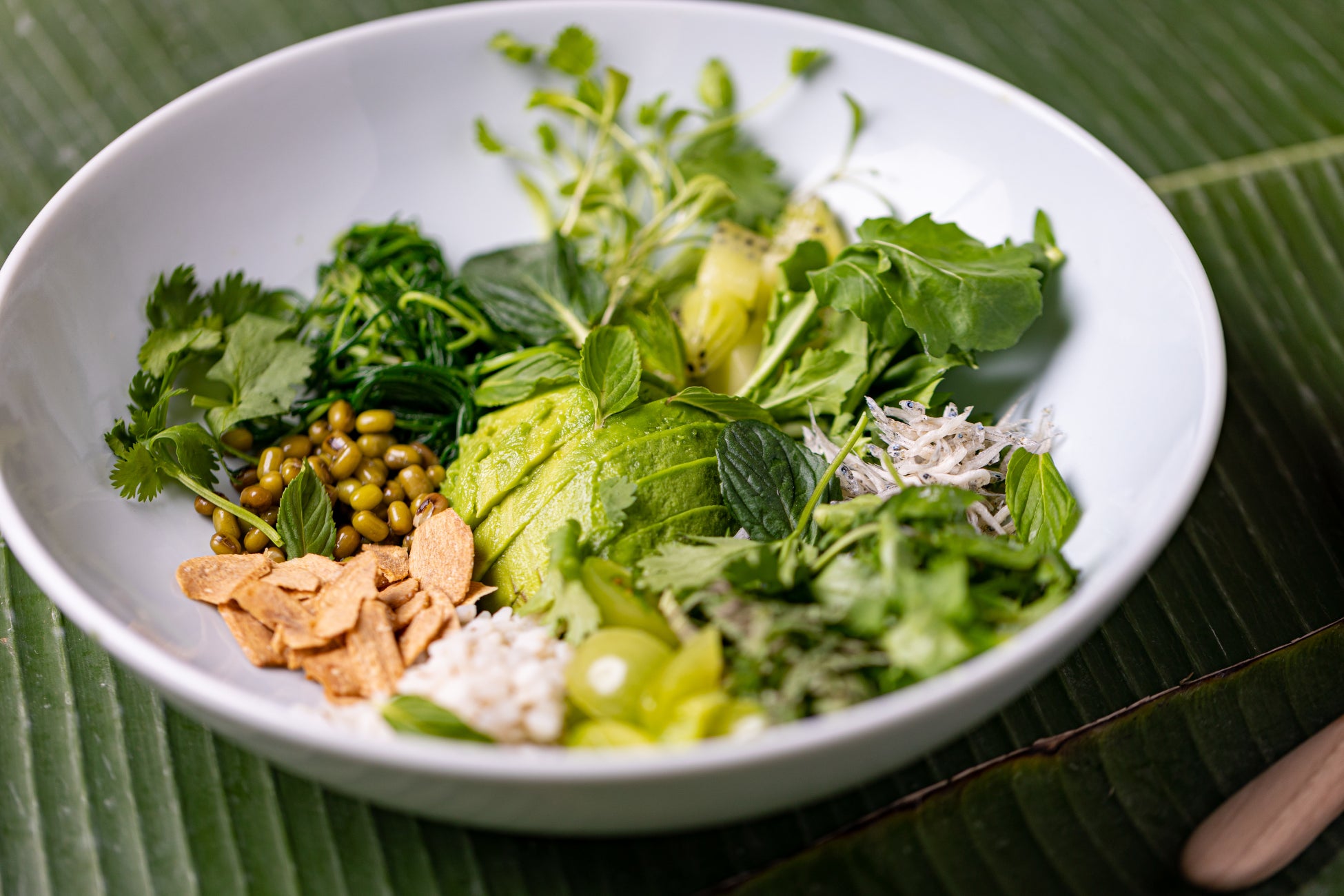 旬のフレッシュハーブと新物の野菜をたっぷりと使った春のスペシャルメニュー モダンアジアンレストラン4店舗にて4月18日 月 より期間限定で提供開始 株式会社huge ヒュージ Enterprise Huge Co Ltd 旬のフレッシュハーブと新物の野菜をたっぷりと使った春のスペシャルメニュー モダンアジアンレストラン4店舗にて4月18日 月 より期間限定で提供開始 株式会社huge ヒュージ Enterprise Huge Co Ltd