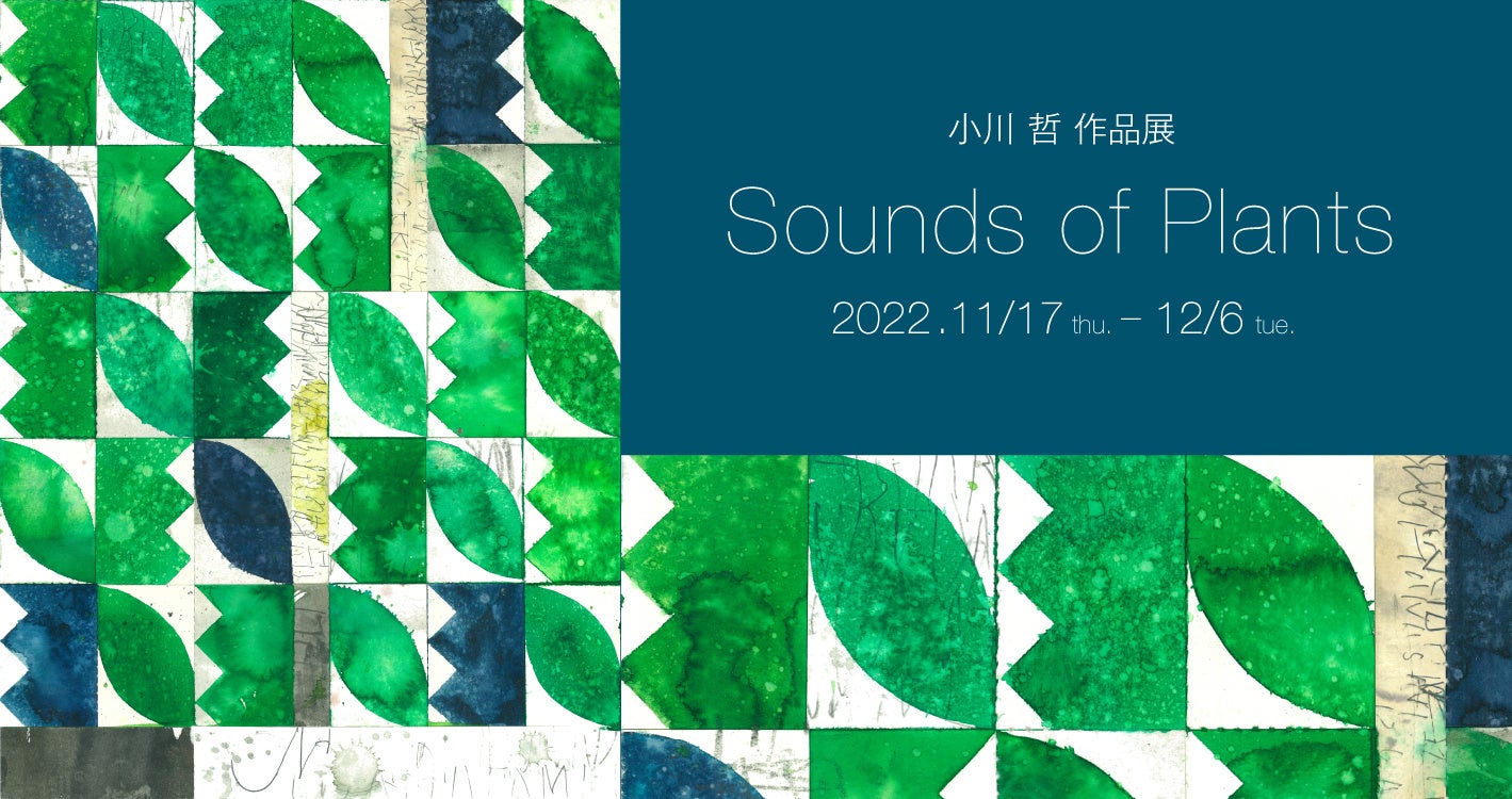 ある様オーダー専用ページ oz design 【受注生産品:2~3週間程度】OZ-802 [2 outputs] (オズ