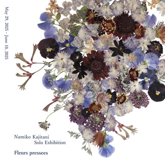 【アルフレックス大阪】移ろいゆく美しさを味わう絵画のような押し花アート。梶谷奈允子展「Fleurs pressees」開催 【アルフレックス大阪】移ろいゆく美しさを味わう絵画のような押し花アート。梶谷奈允子展「Fleurs pressees」開催