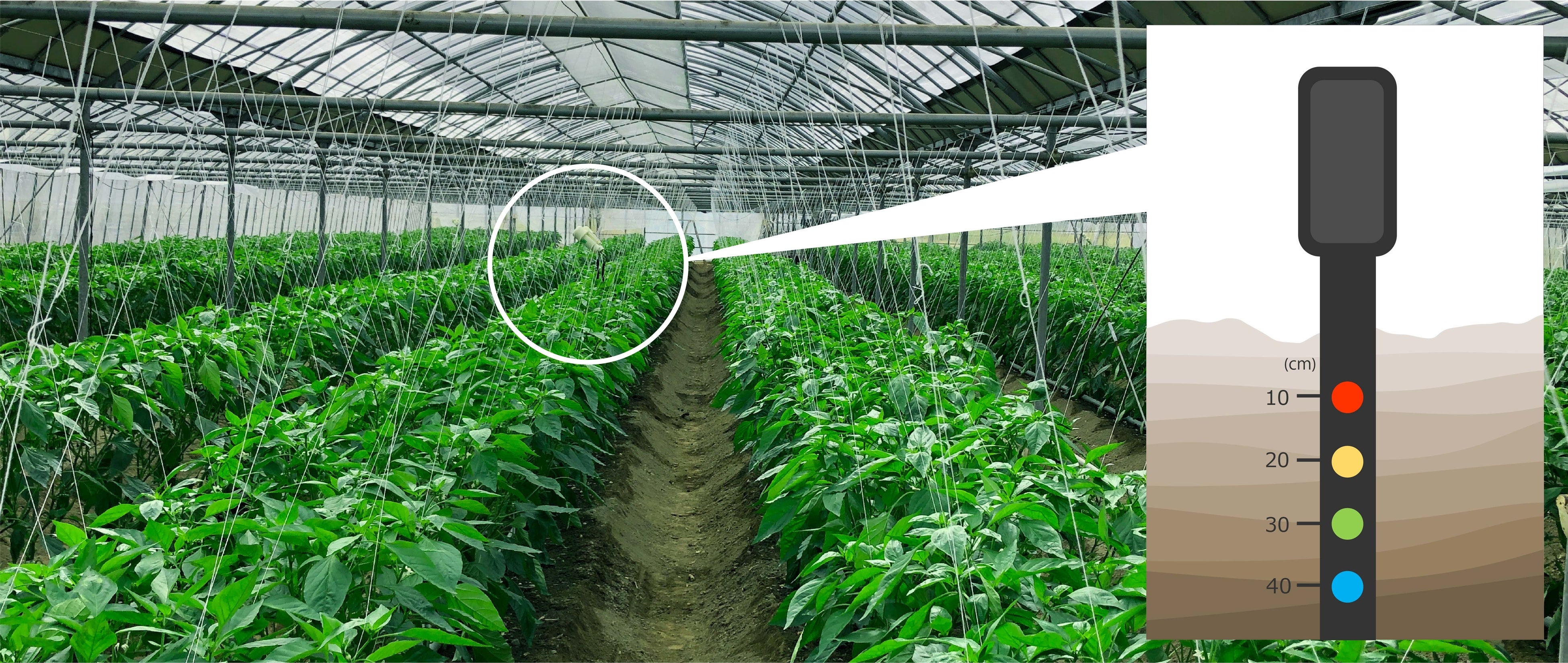 センサーを設置し、地中10㎝毎の地温計測