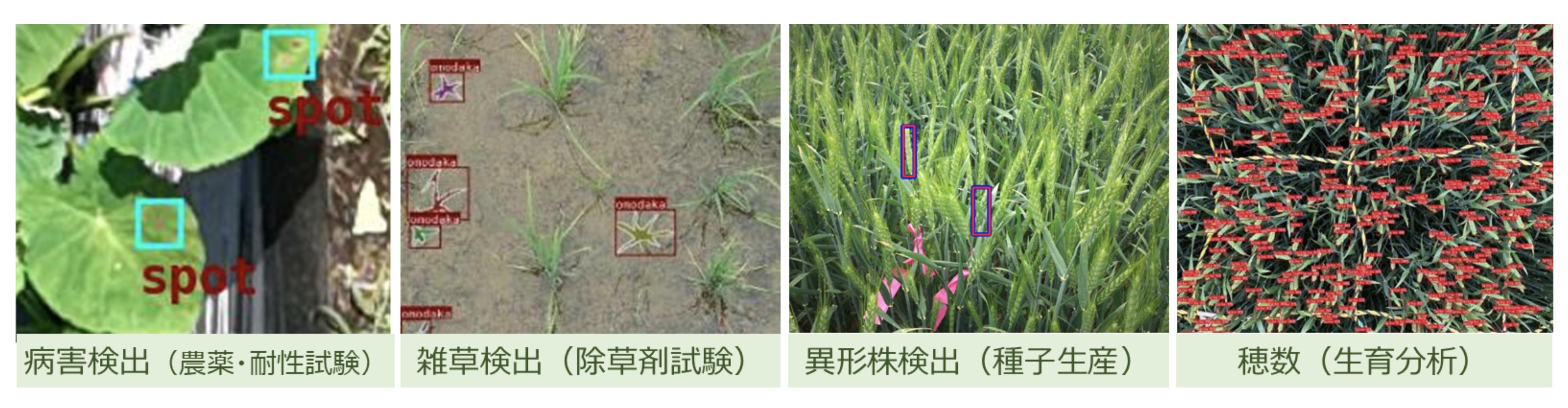 ③多様な作物・異常検出に対応するAI