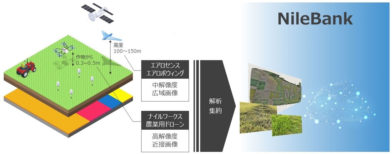 図３　エアロセンスとナイルワークスの提携による、農業におけるセンシングデータ利活用のソリューション開発のイメージ