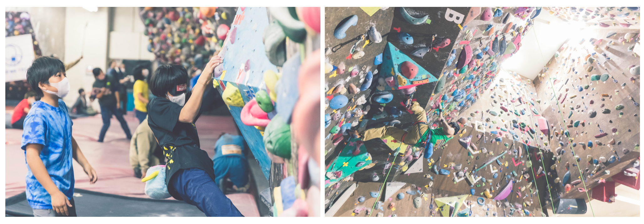 予選 ボルダリング・決勝 トップロープ