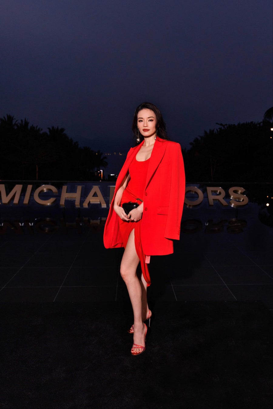 Shu Qi(スー・チー)