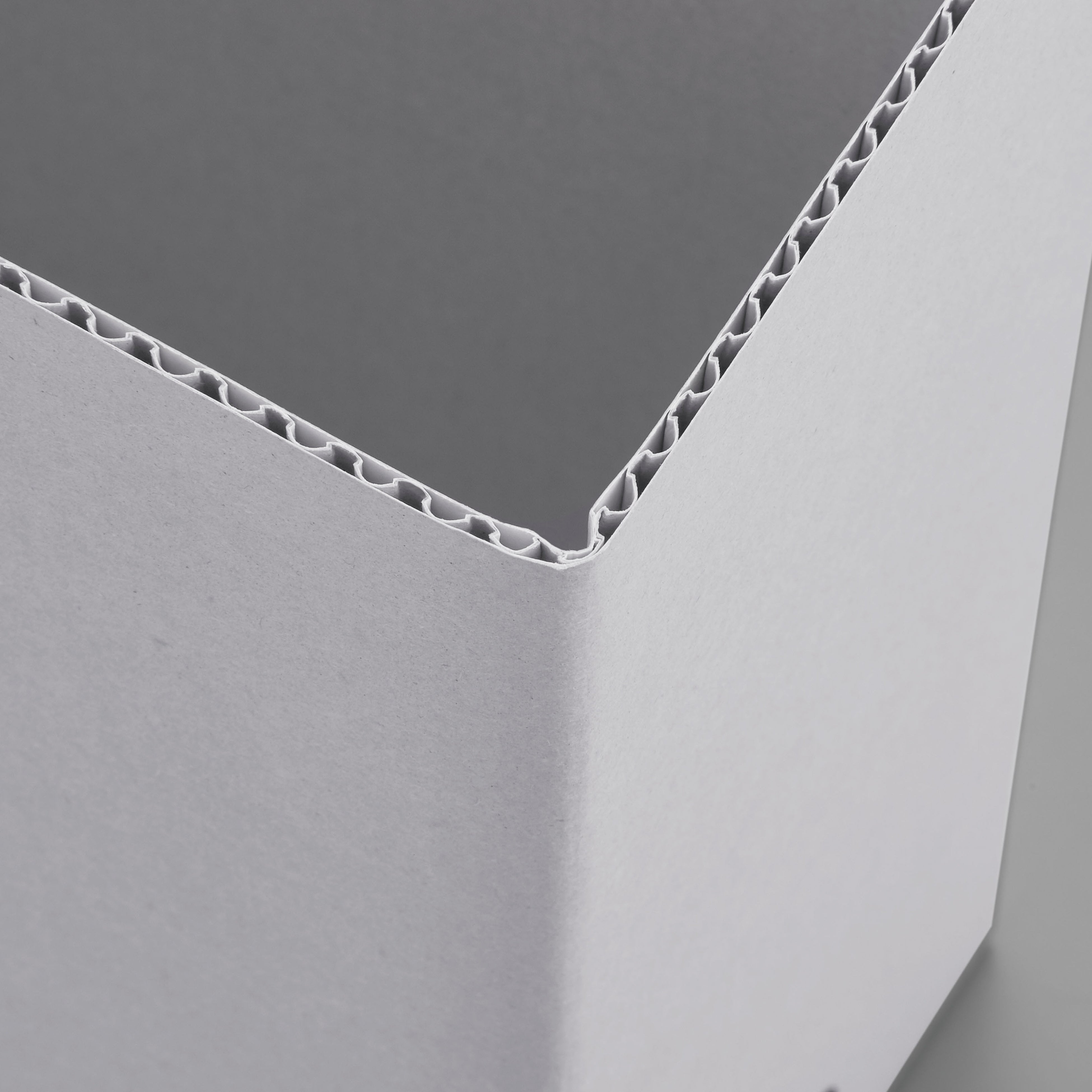 カット面まで同一色