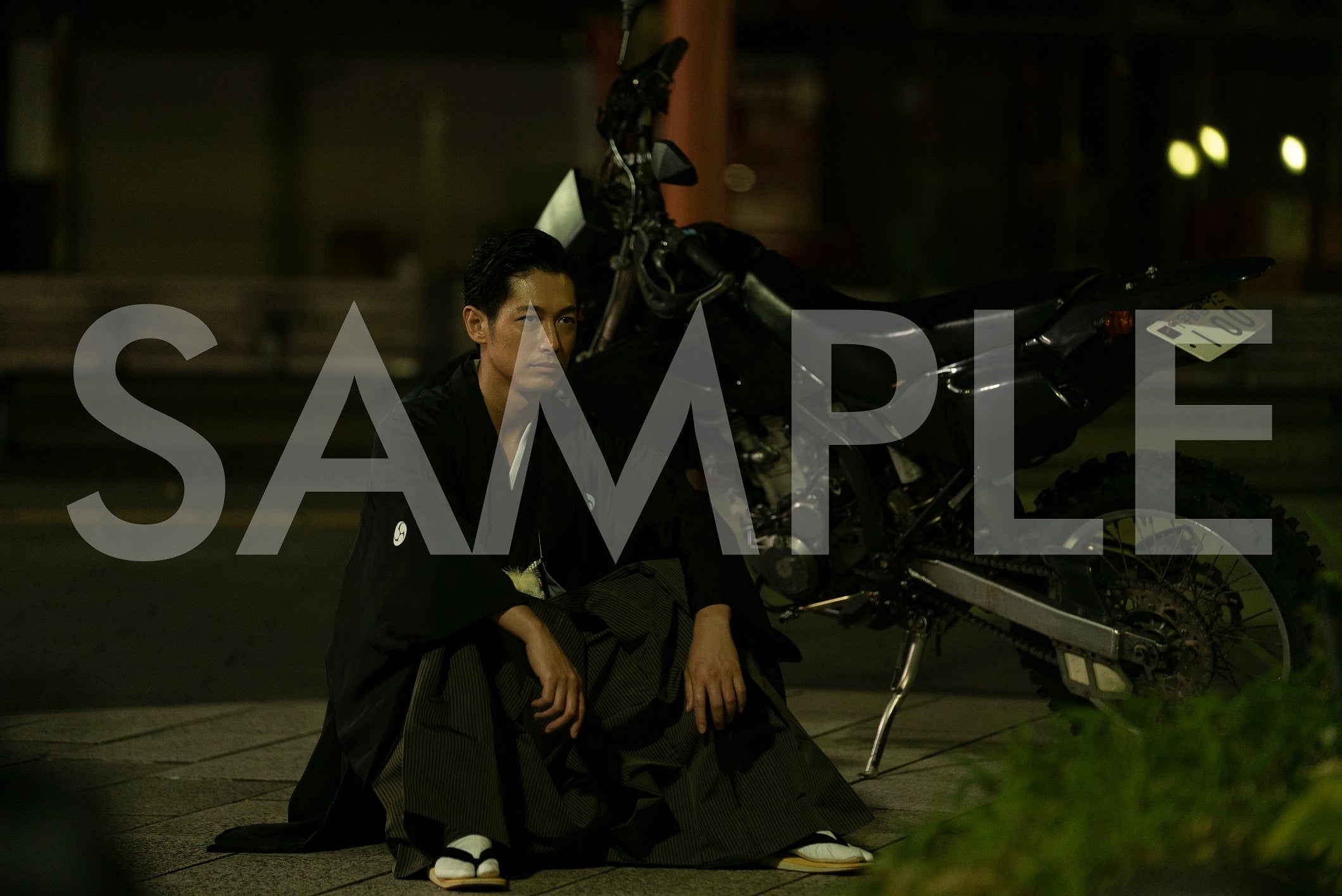 Amazon.co.jp限定： ビジュアルシート2枚組