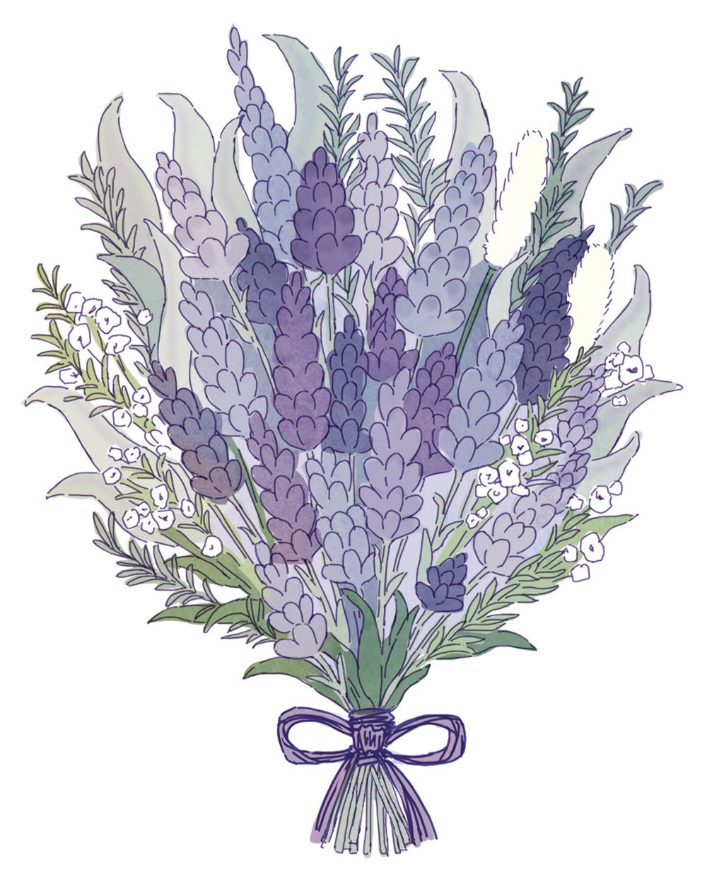 ドライラベンダー