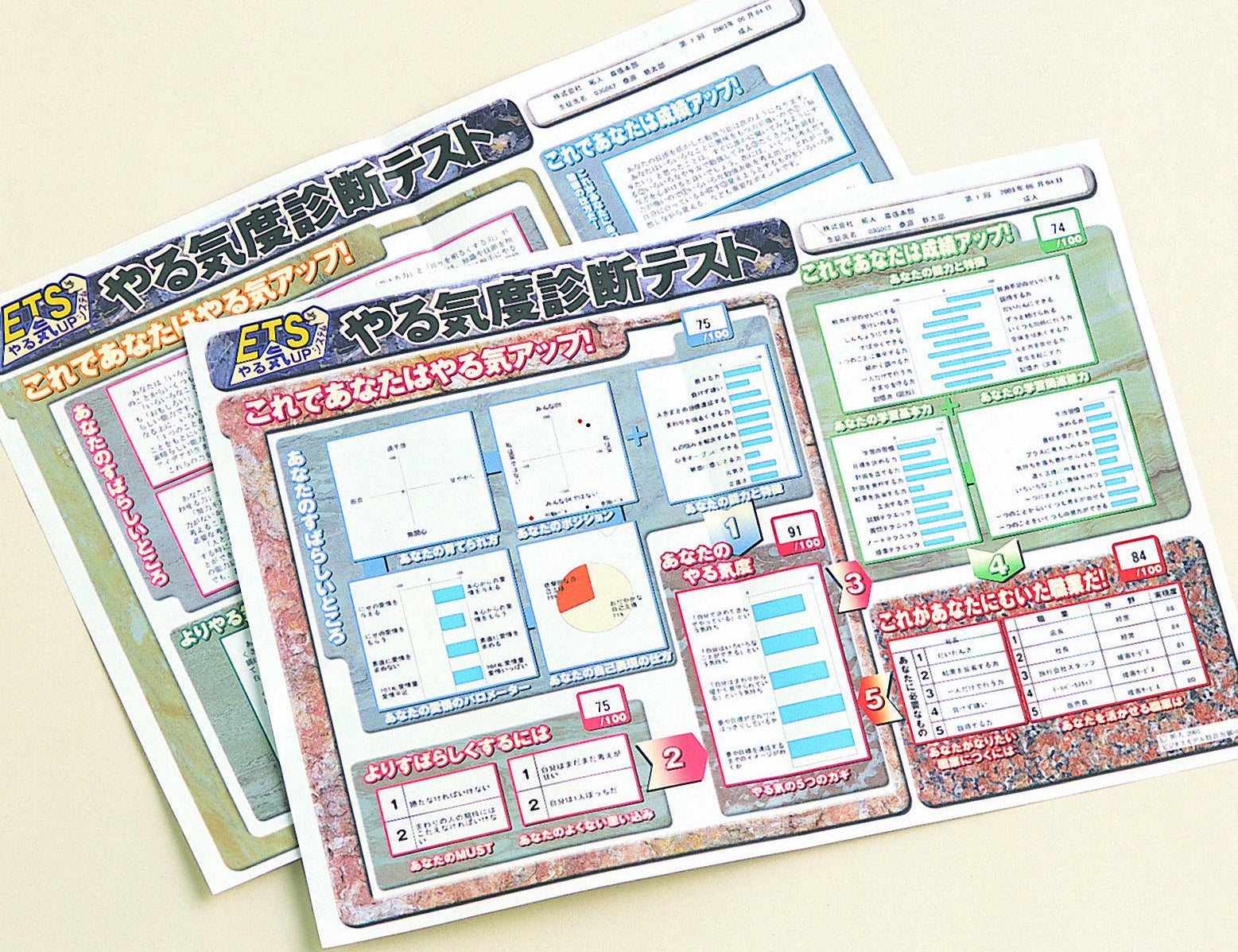 あしなが育英会のLSPに、スクールIE独自の個性診断テスト「ETS」（イメージ）などを提供