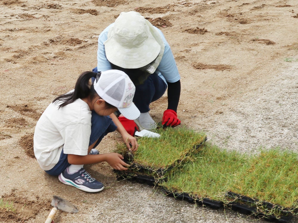 親子一緒に芝生の苗を植えました