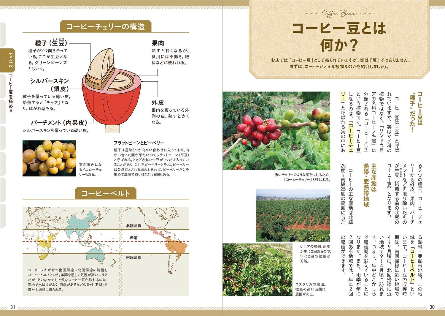 これ一冊で珈琲通になれる 基礎知識から自分好みのアレンジまで 決定版 極める 愉しむ 珈琲事典 12月27日発売 監修は茨城の名店 サザコーヒー 地元書店ブックエースとのコラボも実施 株式会社西東社のプレスリリース これ一冊で珈琲通になれる 基礎知識から自分好みのアレンジまで 決定版 極める 愉しむ 珈琲事典 12月27日発売 監修は茨城の名店 サザコーヒー 地元書店ブックエースとのコラボも実施 株式会社西東社のプレスリリース