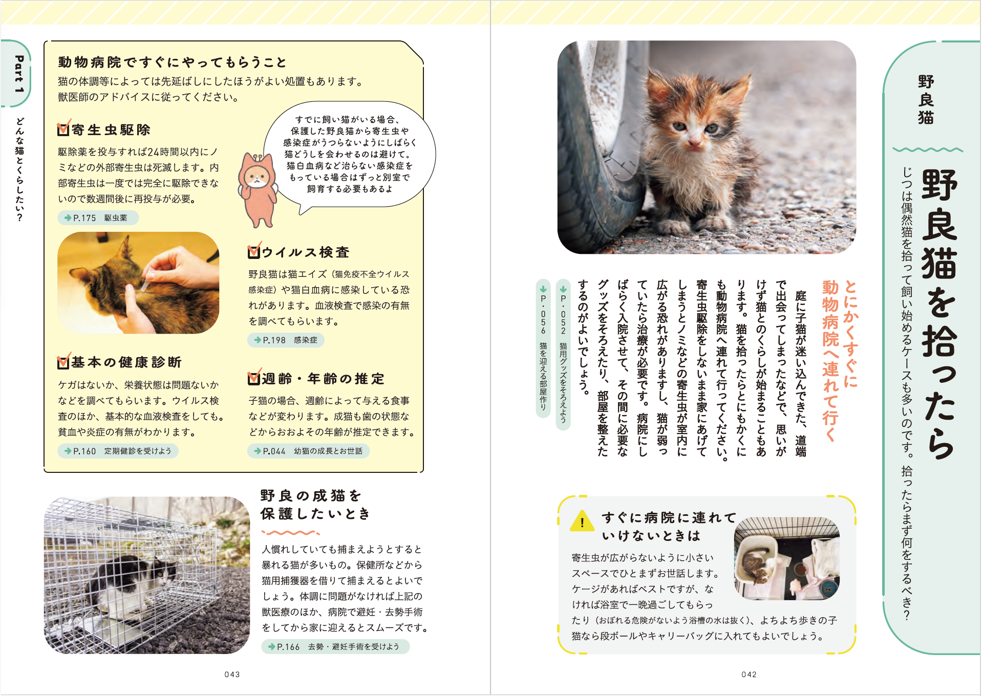はじめて猫を飼う人のための本『猫とくらそう 世界一わかりやすい猫