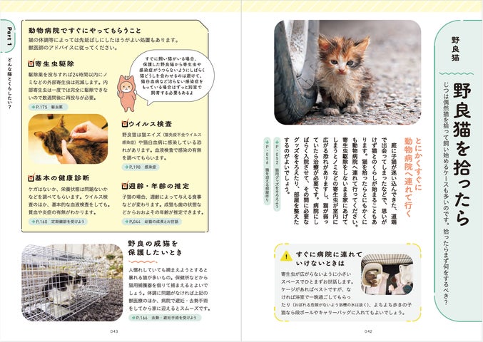 はじめて猫を飼う人のための本『猫とくらそう 世界一わかりやすい猫 はじめて猫を飼う人のための本『猫とくらそう 世界一わかりやすい猫