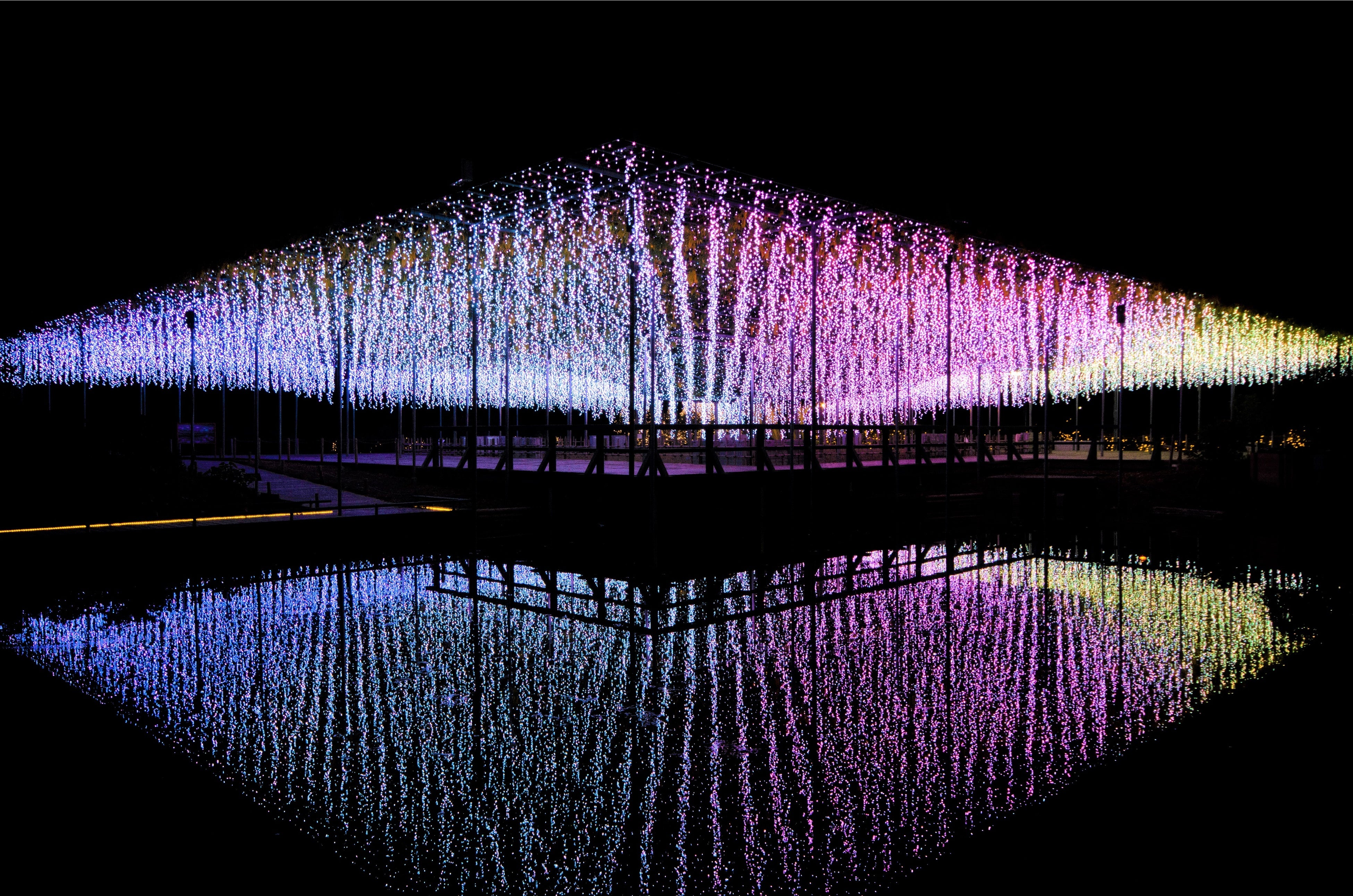 光のふじのはな物語 ２