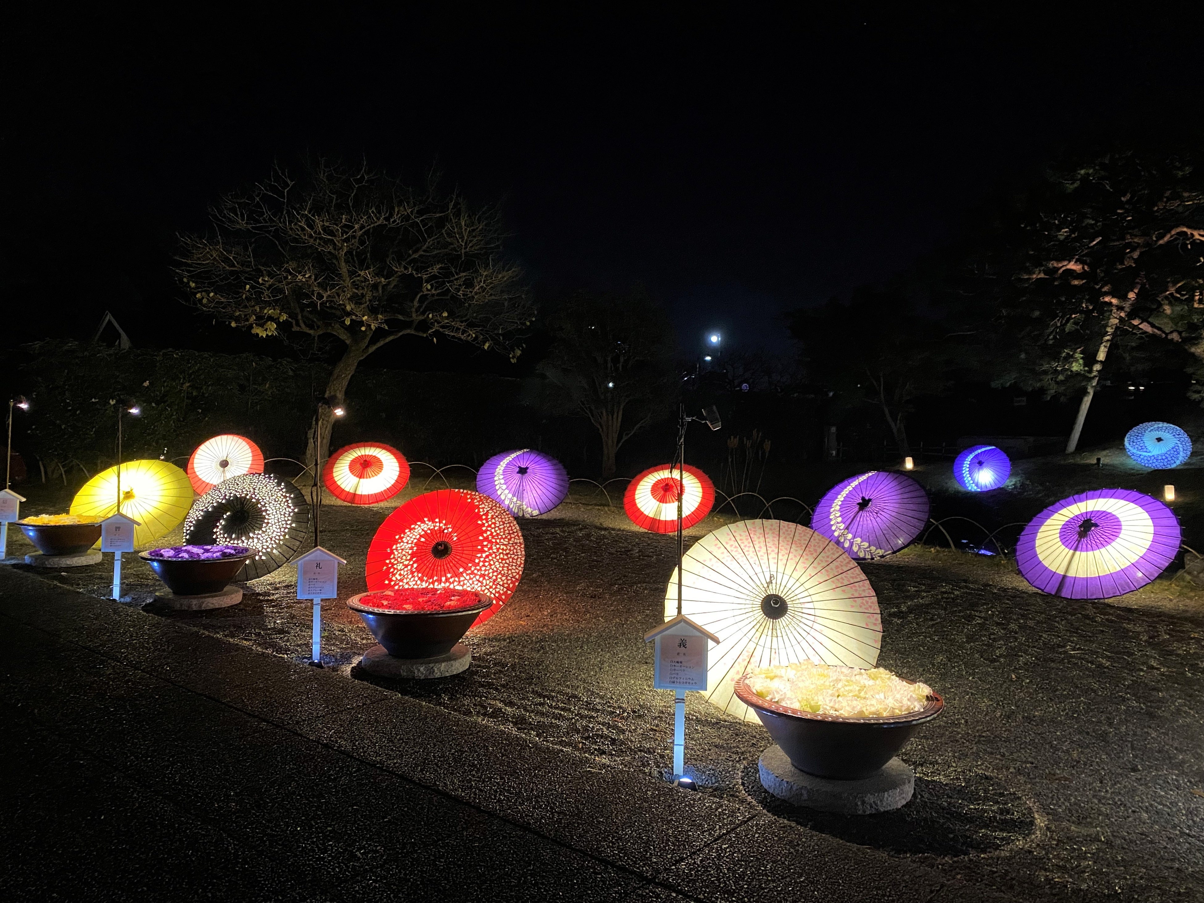 花手水と和傘２