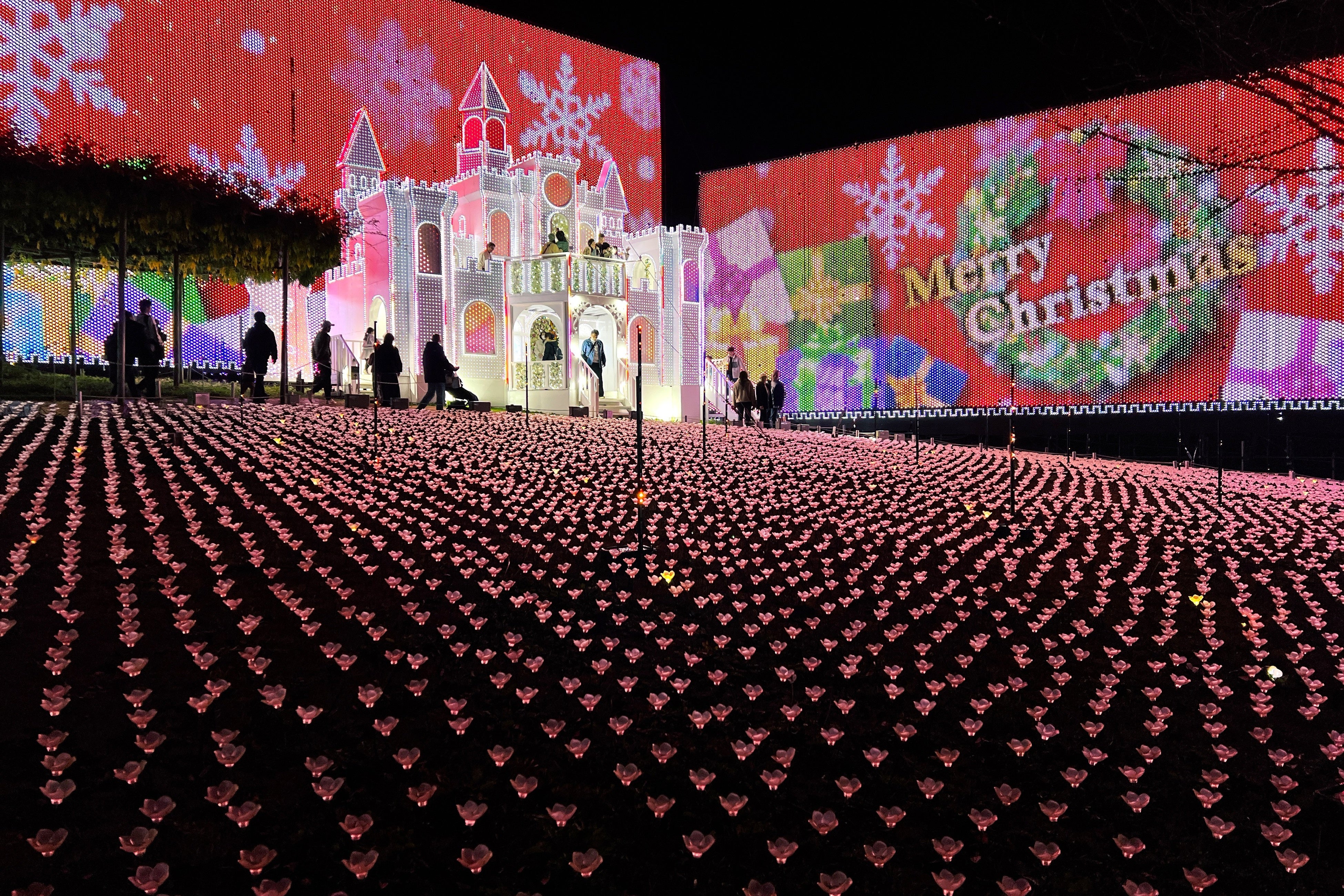 イルミネーションアワードで10年連続ランキング全国第1位の『あしかがフラワーパーク』で最高のクリスマスを！