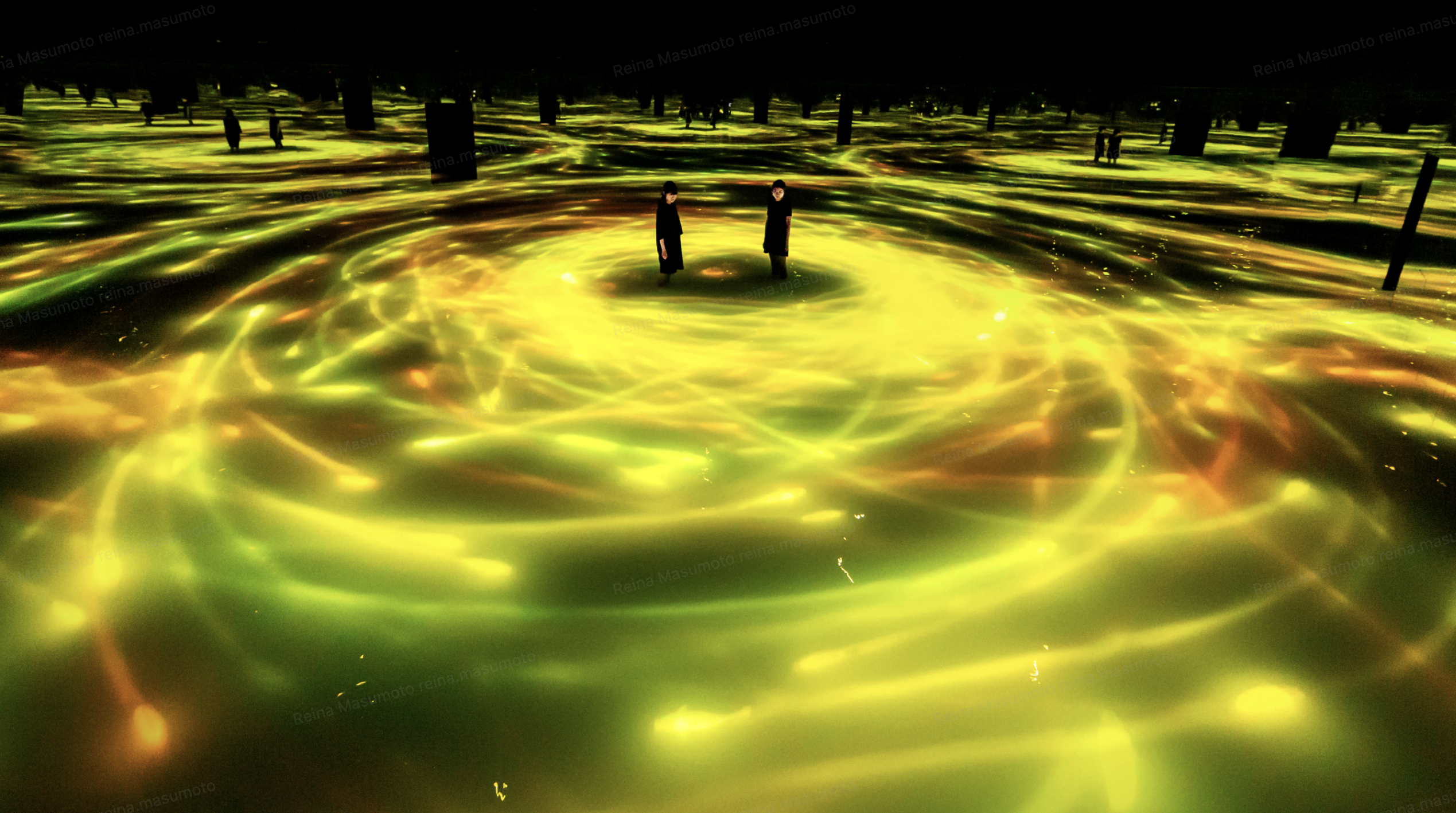 チームラボ《人と共に踊る鯉によって描かれる水面のドローイング》©チームラボ