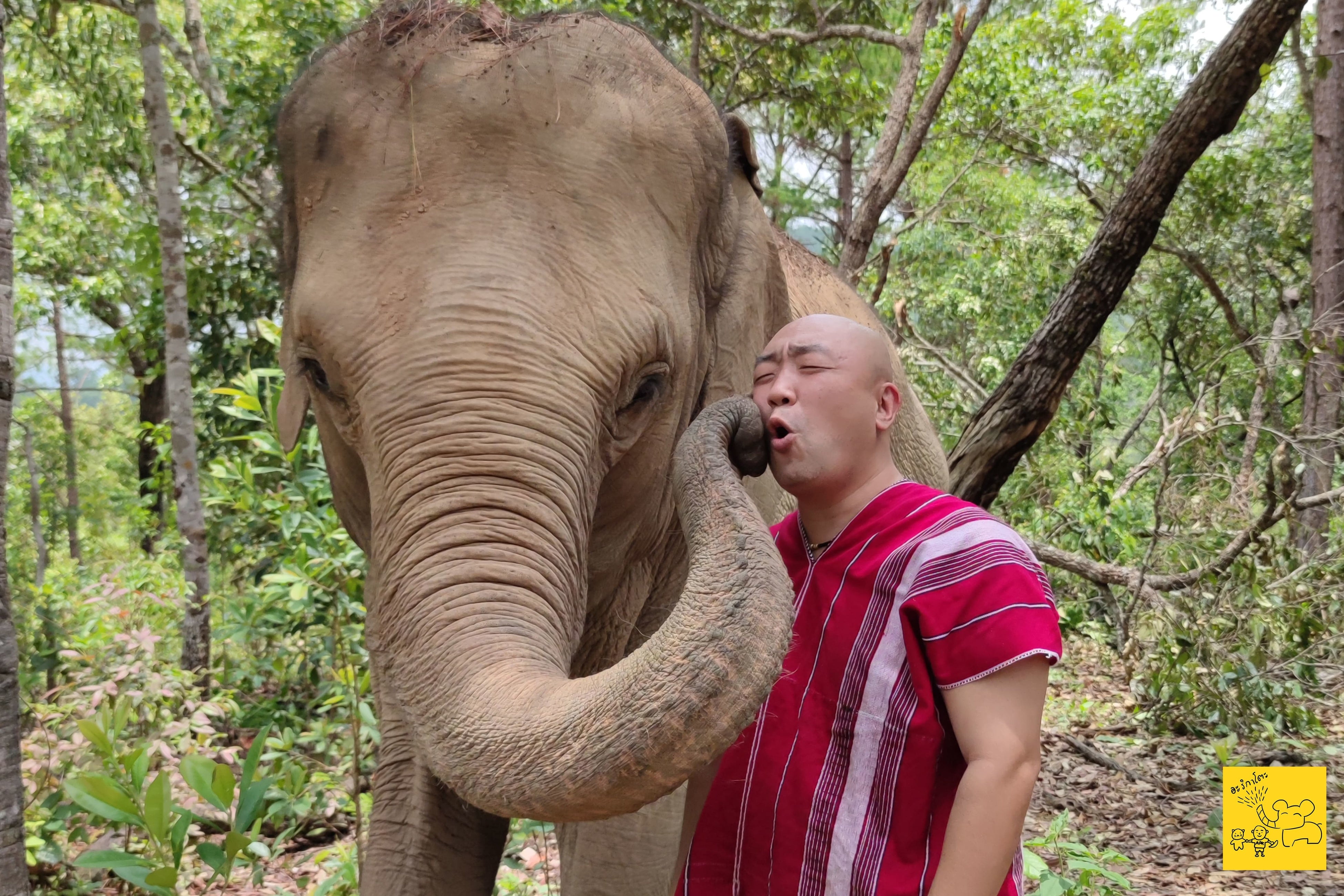 象さんからキスのプレゼント