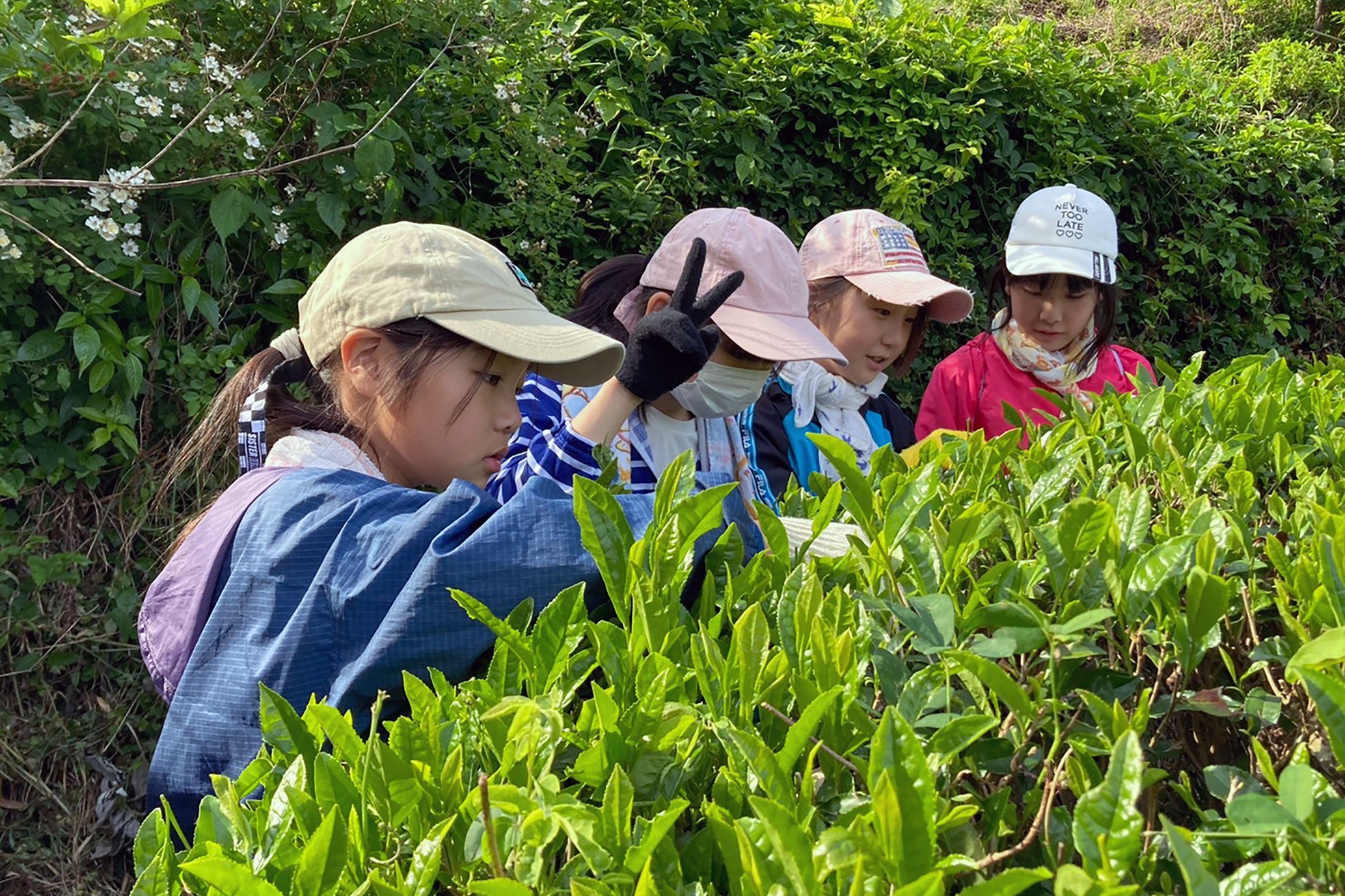 地域と自然に学ぶ体験合宿