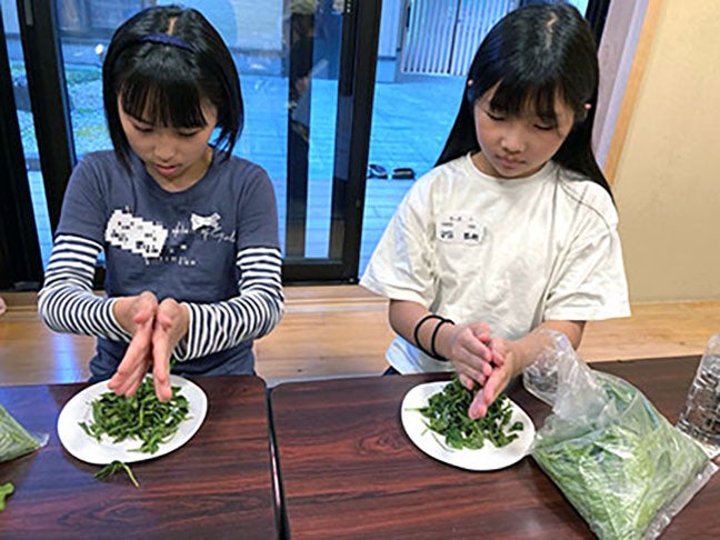 茶摘みから体験するお茶作り