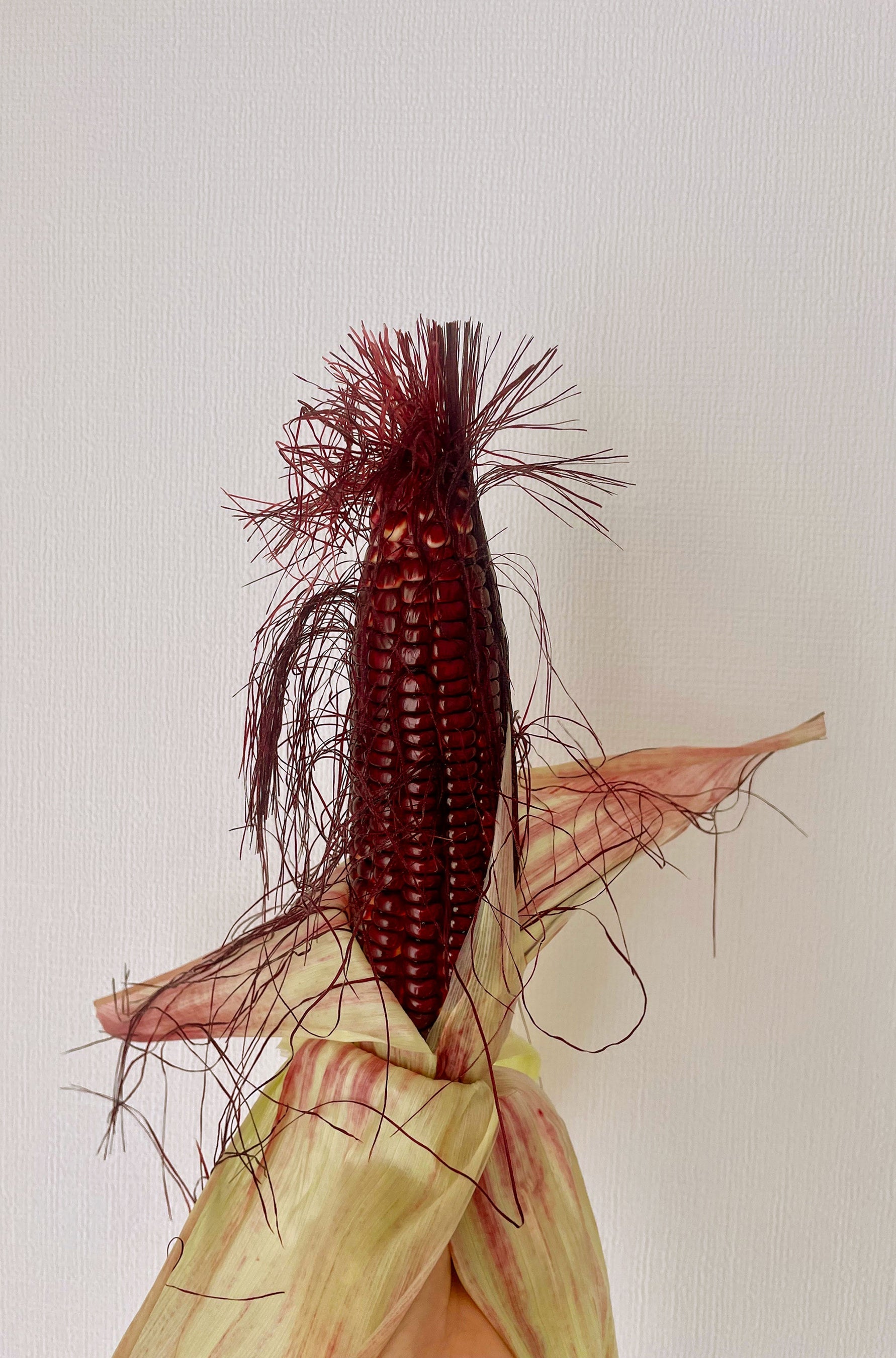 特注品江戸紅型とうもろこし275,000→98,000円