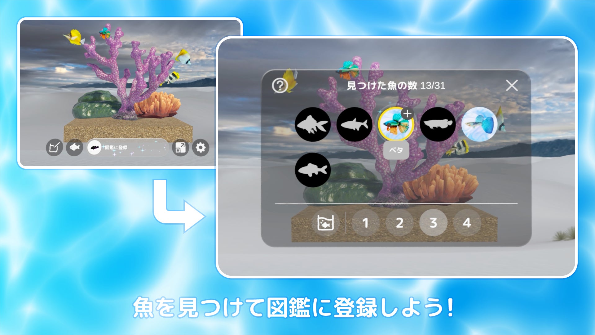 魚を集めて図鑑を完成